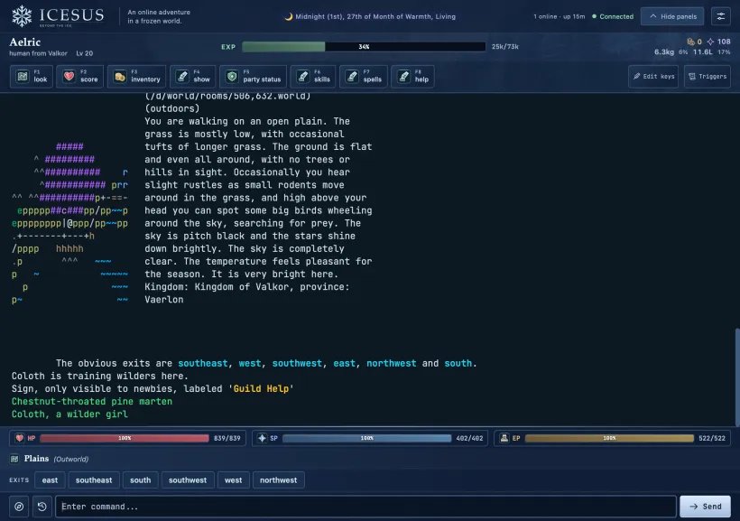 Icesus browser client showing an outdoor room description, a coloured wilderness map, character resources and movement buttons.