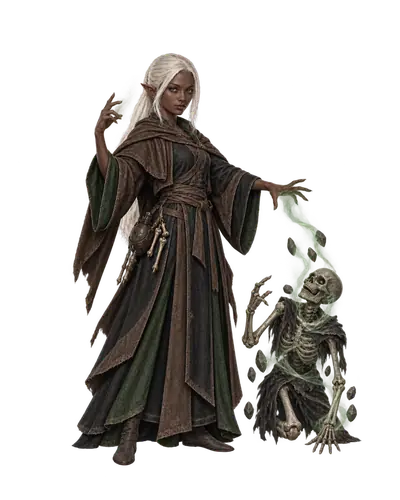 Dark Elf Earthpriest