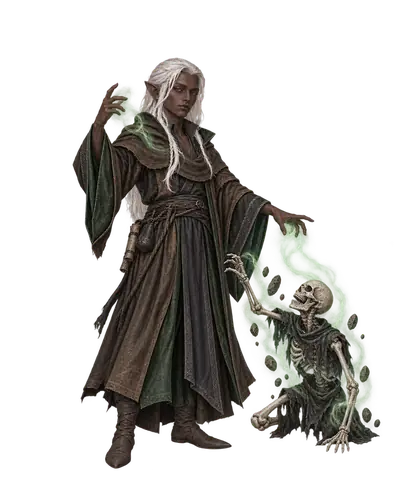 A dark elf priest of Earth in black robes commands a skeletal servant with green necromantic magic.