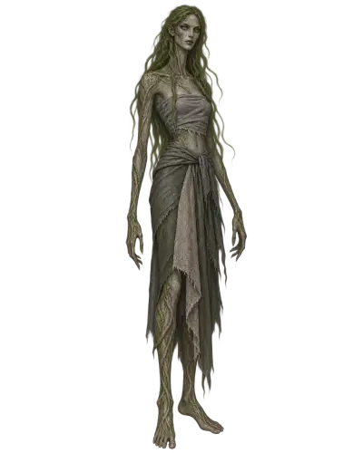 Reed traveller