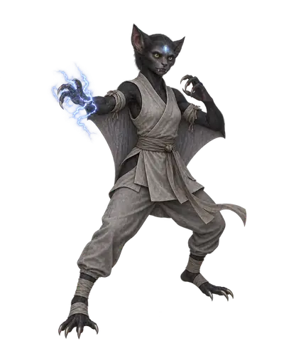 Shadowperson monk