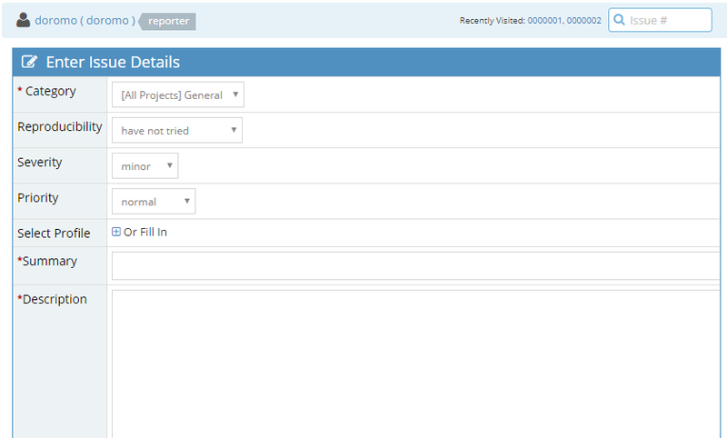 File:Issue details.png